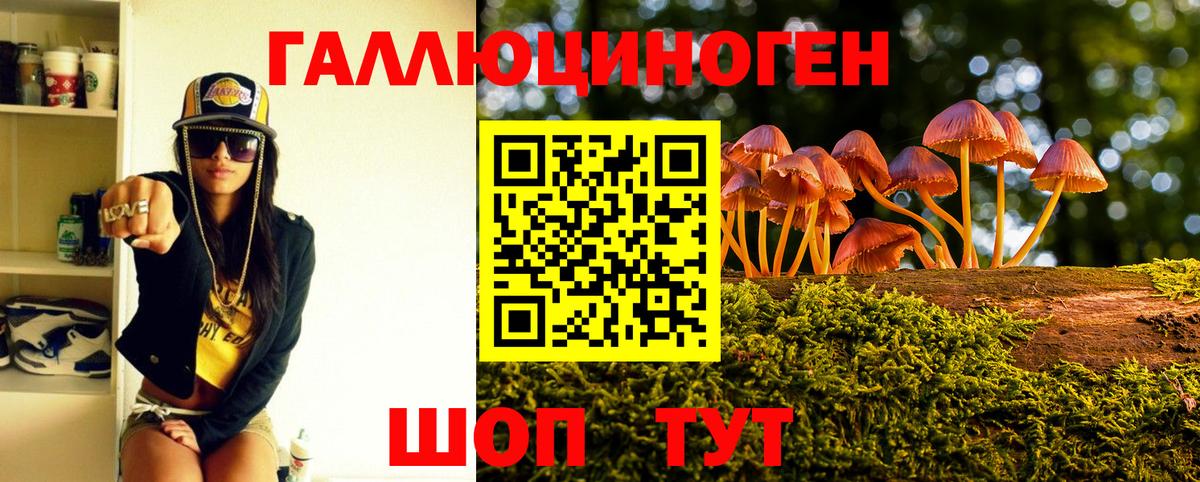 Псилоцибиновые грибы MAGIC MUSHROOMS  Вход с VPN  Мценск 